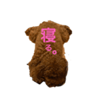 チョコタの日常02（個別スタンプ：6）