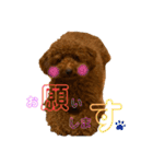 チョコタの日常02（個別スタンプ：12）