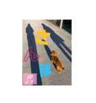 チョコタの日常02（個別スタンプ：17）