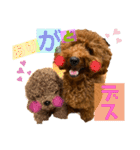 チョコタの日常02（個別スタンプ：18）
