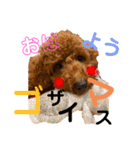 チョコタの日常02（個別スタンプ：21）