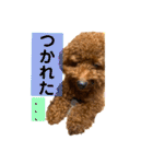 チョコタの日常02（個別スタンプ：22）