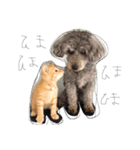 ティアばあちゃんとあめ1（個別スタンプ：5）