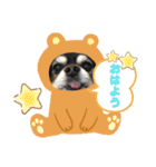 愛犬せいしろう君のスタンプ（個別スタンプ：4）