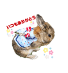 うさぎのビビ☆日常会話スタンプ2（個別スタンプ：2）