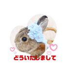 うさぎのビビ☆日常会話スタンプ2（個別スタンプ：9）