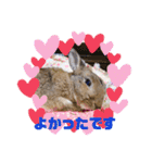 うさぎのビビ☆日常会話スタンプ2（個別スタンプ：12）