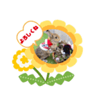うさぎのビビ☆日常会話スタンプ2（個別スタンプ：13）