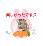 うさぎのビビ☆日常会話スタンプ2（個別スタンプ：17）
