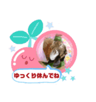 うさぎのビビ☆日常会話スタンプ2（個別スタンプ：24）