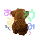 チョコタの日常2（個別スタンプ：1）