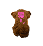 チョコタの日常2（個別スタンプ：7）