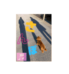 チョコタの日常2（個別スタンプ：18）