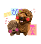 チョコタの日常2（個別スタンプ：20）