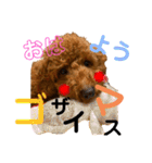 チョコタの日常2（個別スタンプ：22）