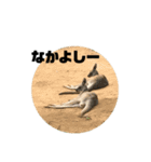 日頃のどうぶつ達のきもち（個別スタンプ：4）