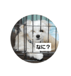 岩本銀次（個別スタンプ：2）