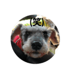 岩本銀次（個別スタンプ：6）