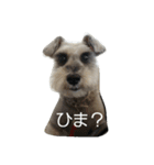 岩本銀次（個別スタンプ：8）