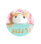 日常で使える！可愛い動物達のスタンプ（個別スタンプ：2）