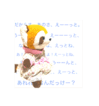 日常で使える！可愛い動物達のスタンプ（個別スタンプ：13）