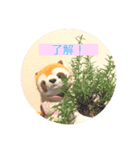 日常で使える！可愛い動物達のスタンプ（個別スタンプ：14）