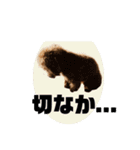 長崎弁をしゃべるわんこ（個別スタンプ：4）