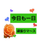 5色の薔薇 2（個別スタンプ：5）
