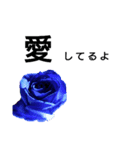 5色の薔薇 2（個別スタンプ：7）