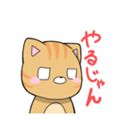 荒ぶりねこ。（個別スタンプ：6）