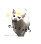 しろねこ姉妹part3（個別スタンプ：8）