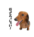 Mr,Jack2（個別スタンプ：1）