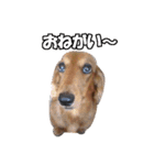 Mr,Jack2（個別スタンプ：2）