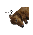 Mr,Jack2（個別スタンプ：4）