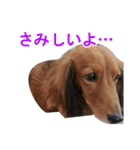 Mr,Jack2（個別スタンプ：5）