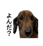 Mr,Jack2（個別スタンプ：9）