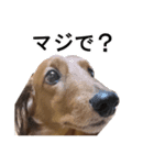 Mr,Jack2（個別スタンプ：10）
