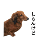 Mr,Jack2（個別スタンプ：11）