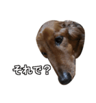 Mr,Jack2（個別スタンプ：14）