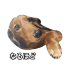 Mr,Jack2（個別スタンプ：15）