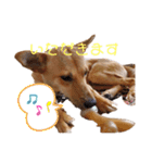 さくよちゃんの1日（個別スタンプ：2）
