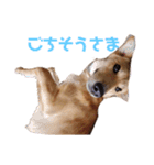 さくよちゃんの1日（個別スタンプ：4）