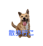 さくよちゃんの1日（個別スタンプ：5）
