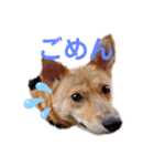 さくよちゃんの1日（個別スタンプ：6）