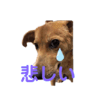 さくよちゃんの1日（個別スタンプ：7）