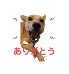 さくよちゃんの1日（個別スタンプ：8）