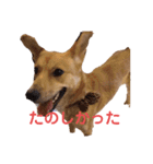 さくよちゃんの1日（個別スタンプ：9）