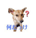 さくよちゃんの1日（個別スタンプ：14）