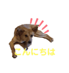 さくよちゃんの1日（個別スタンプ：16）