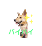 さくよちゃんの1日（個別スタンプ：21）